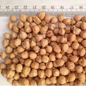 Pois chiches biologiques Kabuli de qualité export, disponibles à un prix de gros compétitif - Product Image 2