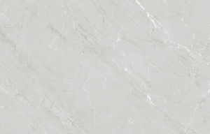 กระเบื้องปูพื้นและผนังพอร์ซเลนวิทรัมบิอันโก้แบบโมเดิร์น ผิวด้าน ทนกรด สำหรับตกแต่งภายใน วิลล่า โรงพยาบาล ขนาด 60x120 ซม. - Product Image 6