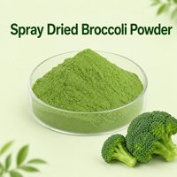 Natuurlijk Broccoli Sprouts Poeder Bulk Zuivere Plantaardige Spray-/Vriesgedroogde Broccoli Microgreens Poeder