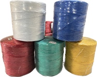 Corde en polypropylène (PP) noir et jaune de 2,5 mm pour l'agriculture, corde en raphia, ficelle pour presse à balles de foin, corde torsadée pour emballage de pailles de banane, anti-UV