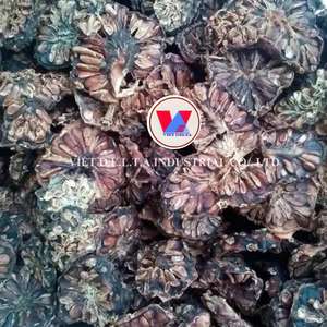 ผลไม้แห้งเวียดนาม NOI-เพิ่มความบริสุทธิ์และเป็นธรรมชาติให้กับความเป็นอยู่ของคุณ - Product Image 5