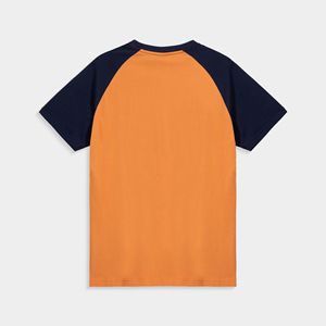 2026 Men's Gray Short Sleeve O-Neck <b>Skull</b> Beach Print Regular Fit Casual Jersey Cotton <b>Top</b> T-Shirt Available For Online Sale - Product Image 6