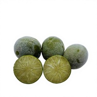 Premium IQF Diepvries Gehele Zaadloze Lime, HACCP Gecertificeerd, Verse Citrusvruchten, Bulk Leverancier voor Drank- en Voedselverwerking en Export