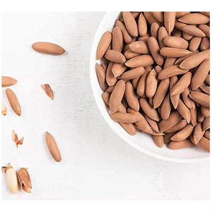 Prix de gros des noyaux de pignons de pin et des pignons de pin secs biologiques en coque - Product Image 2