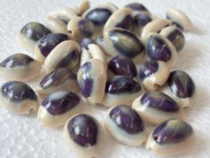 Coquillages ovales blancs naturels en vrac, coquillages de cauris éthiques pour l'artisanat, fournitures de bijoux sculptés à la main, vente en gros - Product Image 2