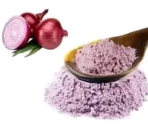 Poudre d'oignon séché de qualité supérieure, naturelle, finement moulue, assaisonnement pour la transformation alimentaire et la vente en gros, en vrac, Ocean Link Exim - Product Image 1