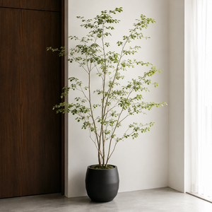 Juego de Macetas de Fibra de Vidrio Negras Ovadas Ligeras para Jardín y Paisajismo, Lisas y Decorativas, en 4 Tamaños - Product Image 2