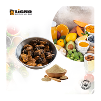 Liquide de champignon Chaga LiGNO CG06 |   Ingrédient de boisson fonctionnelle de qualité cosmétique à haute teneur en ORAC |   Extrait d'eau |   Présenté cliniquement comme preuve établie