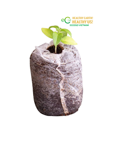 Pastilles de tourbe de coco pour la germination des graines, la propagation des plantes, la pépinière et le jardinage intérieur Eco2go Vietnam - Product Image 6