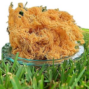 Musgo Natural Silvestre para un mejor soporte inmunológico/cosechado a mano/valor asequible/Sra. Lina - Product Image 6