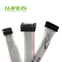 Câble ruban IDC personnalisé Dupont femelle 10 broches, pas de 2 mm, assemblage de faisceau de câbles 20 pièces, électronique OEM/ODM, conforme RoHS, 28AWG