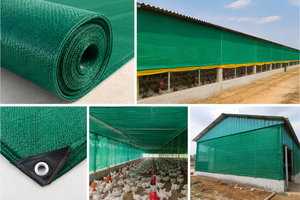 ตาข่ายบังแดด HDPE สีเขียวสำหรับฟาร์มสัตว์ปีก ตาข่ายบังแดด HDPE ป้องกันรังสียูวีสำหรับฟาร์มสัตว์ปีก แบบอัดรีด - Product Image 5
