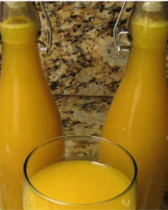 CONCENTRÉ DE JUS DE MANGUE NATUREL DE QUALITÉ SUPÉRIEURE ORIGINE VIETNAM - Product Image 5
