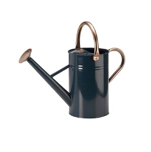 Arrosoir en métal de qualité supérieure, finition verte, support pour pot de fleurs, utilisation pour la maison, le jardin extérieur, fournitures de jardinage, seaux à eau - Product Image 6