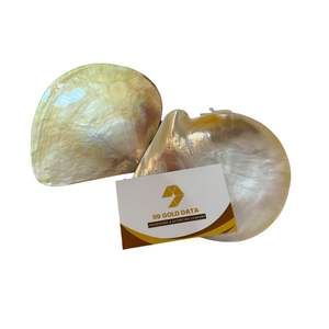 Assiette décorative de luxe en coquille d'huître irrégulière de 10 cm et 15 cm, gravée, écologique, pour gâteaux et plats - Product Image 6