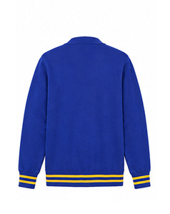 เสื้อคาร์ดิแกนคอวีผู้ชาย Sigma Gamma Rho แขนยาว ปักลายตัวอักษร สำหรับใส่ในฤดูใบไม้ร่วง สีน้ำเงิน-เหลืองลายทาง ผ้าอะคริลิกบุขนสัตว์ - Product Image 2