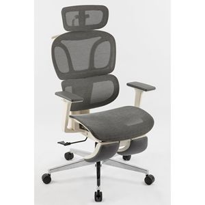 Sedia da Ufficio Ergonomica con Schienale Alto, Supporto Lombare Dinamico, Poggiatesta 2D, Braccioli 4D e Poggiapiedi - Product Image 5