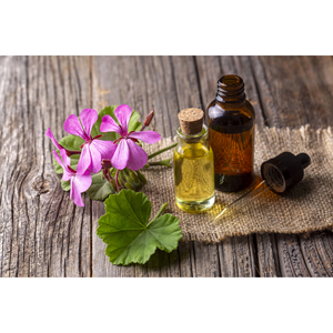 Huile essentielle de géranium 100% pure et naturelle, qualité thérapeutique, huiles essentielles d'aromathérapie en gros - Product Image 3
