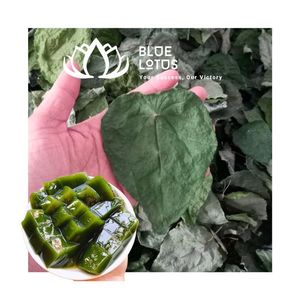 Poudre de feuilles de gelée de herbe verte durable de haute qualité, style herbal, pour ingrédient alimentaire de desserts et de bubble tea - Product Image 1