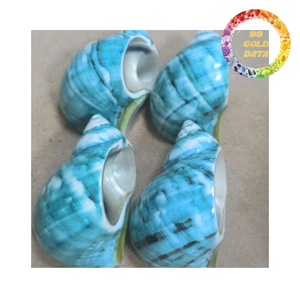 Porta Servilletas Decorativo de Conchas Marinas para Bodas o Fiestas con Temática Costera - Product Image 6