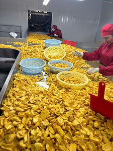 Chips de Jaca de Vietnam, Crujientes, Fruta Seca Fresca, Snack Saludable, Venta al por Mayor, Proveedor OEM, Exportación - CARYLN - Product Image 6