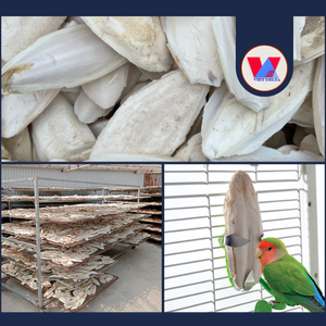 Hueso de Sepia Natural Seco de Alta Calidad, 15 kg, para Mantenimiento de Pico de Aves y Loros, Ingrediente para Alimento de Mascotas - Product Image 2