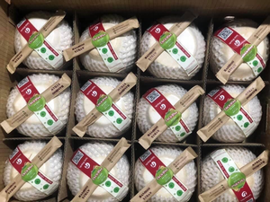 Boissons rafraîchissantes au diamant de coco de qualité supérieure, origine Vietnam, commandes en gros à prix compétitif - Product Image 5