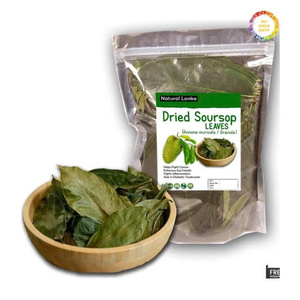 Hojas de guanábana secas cuidadosamente seleccionadas para té de hierbas, extractos botánicos y productos naturales - Product Image 2