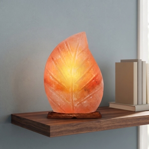 Lámpara de Sal del Himalaya con Forma de Hoja, Cristal de Roca Natural, Iluminación Decorativa para Mesa, Adorno para Dormitorio y Hogar - Product Image 2
