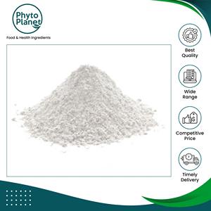 Exportador Mayorista Líder en la Venta de Polvo de Plátano Verde Seco, Puro y Natural, de Alta Calidad y Grado Premium a Bajo Precio - Product Image 2