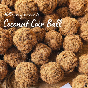 Pelota de fibra de coco para masticar para perros, pelota de cáscara de coco para masticar para perros, fabricante de juguetes ecológicos para mascotas de Vietnam ANGLE - Product Image 4