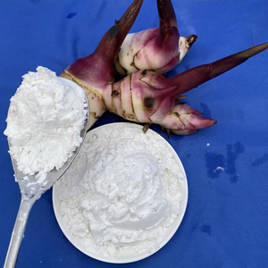 Meilleure poudre d'amidon d'arrowroot biologique standard, goût naturel pour l'alimentation et les ingrédients, emballée en sachet, provenant du Vietnam - Product Image 1