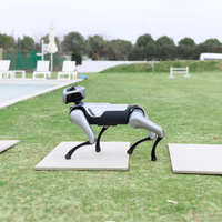 Nouveau robot chien bionique à quatre pattes Magic Atom, compagnon intelligent IA, robotique, contrôle à distance par application 5G, interaction émotionnelle, animal de compagnie robotique