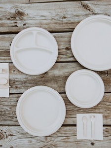 Platos Desechables Compostables de Bagazo de Caña de Azúcar de 9 Pulgadas para Restaurantes, Fiestas y Catering, Forma Redonda, Comida Rápida y al Aire Libre - Product Image 1
