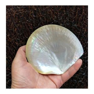 Cuillère à caviar en nacre naturelle, cuillère de service en nacre pour table de luxe - Product Image 2