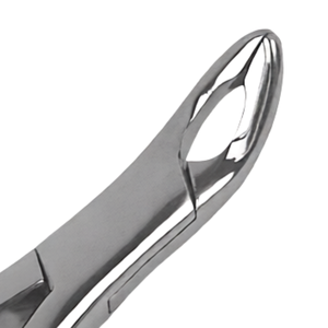 คีมถอนฟัน # เครื่องมือถอนฟันแบบแมนนวล ทำจากเหล็กกล้าไร้สนิม สำหรับถอนฟันกรามล่าง ฟันหนาม ฟันกรามอ่อน และฟันรากสั้น รุ่น 203 - Product Image 4