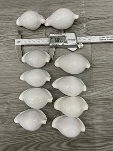 Conchas de Cauri Blancas de Gran Tamaño, 6-7 cm, Conchas Pulimentadas de Vietnam para Manualidades, Joyería y Decoración del Hogar - Product Image 3