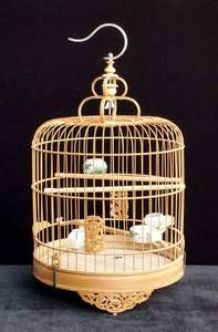 Basics <b>Bird</b> <b>Cage</b> <b>Large</b> Includes Locking Casters and <b>Bird</b> <b>Cage</b> Accessories - Product Image 4