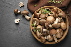 เห็ดชิตาเกะแห้งคุณภาพสูงจากเวียดนาม - หัวหนา 3-5 ซม. เห็ดดำพรีเมียมสำหรับขายส่ง - Product Image 4