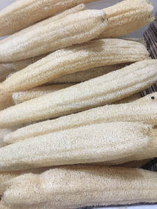 Luffa naturelle 40-45cm, cultivée en ferme au Vietnam, biologique, entière, grandes tailles, sans produits chimiques, pour le bain et la cuisine, luffa du Vietnam - Product Image 2