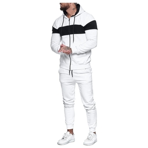 Survêtements, sweats à capuche et sweat-shirts personnalisés en molleton 100% coton blanc pour hommes, broderie de haute qualité, faible MOQ - Product Image 4