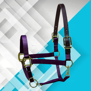 Equestrian Coral-Adj Leather Crown Elegante Nylon Horse Halter y Brida Accesorio Alfombra Premium Quality PP Halters - Product Image 5