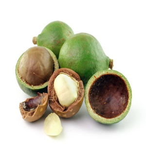 Nueces de Macadamia Orgánicas de China a Precio de Fábrica - Product Image 2