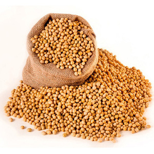 ACHETER en gros des fèves de soja biologiques non OGM de qualité supérieure, fèves de soja jaunes riches en protéines - Product Image 2