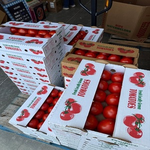 Tomates rouges fraîches de qualité export, légumes frais de ferme de première qualité pour la cuisson, le traitement, la vente en gros, l'approvisionnement en vrac et l'emballage - Product Image 1