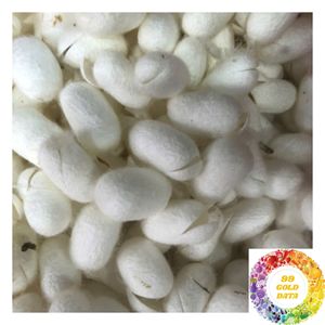 Capullos de seda de morera natural de Vietnam para la producción de hilo de seda, fábricas textiles y venta al por mayor internacional - Product Image 3