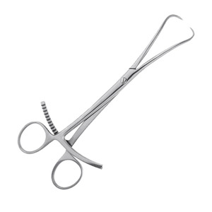 Pinces à fragments en acier inoxydable, disponibles dans toutes les qualités et tailles, instruments chirurgicaux orthopédiques vétérinaires pour animaux - Product Image 2