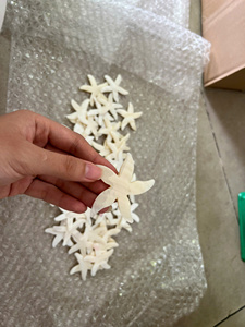 เปลือกหอยขัดเงาออร์แกนิคขนาดเล็ก ตกแต่งงานฝีมือ DIY สำหรับตกแต่งบ้านพักตากอากาศริมชายหาด งานแต่งงาน-CARYLN - Product Image 2