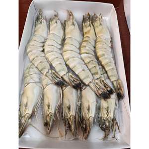 กุ้งแช่แข็งขายส่ง ราคาถูก มีจำหน่ายจำนวนมาก กุ้งลายเสือดำ - Product Image 4