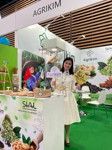 Muestra gratis ROBUSTA Vietnam Green Coffee Beans Best Selling Pure Toasted ISO 22000 Certificado 60kg Bolsa de yute Precio competitivo + 84 - Product Image 6